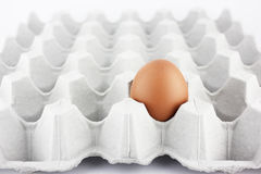 single-egg-tray-close-up-40639354.jpg