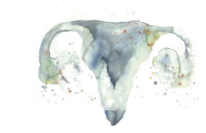 A watercolor illustration of a uterus, embellished with soft colors and splashes, highlighting its anatomical features artistically.