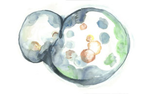 in-vitro fertilization ivf yinstill reproductive health