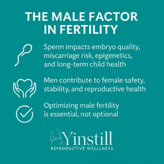 Men, it’s time we told the full truth.

Fertility is not a “female issue.”
In over 50% of cases, male factor infertility is involved.
And what’s more — it’s modifiable.

🧬 Poor sperm quality can affect:

Embryo development

Miscarriage risk

IVF success

Even the long-term health of your child

But here’s the good news:
Sperm regenerates every 70-90 days.
With the right strategy — we can optimize it.

At Yinstill, we treat both partners.
Because fertility isn’t just about labs and numbers —
It’s about creating a safe, stable, supported environment where life can begin.

She doesn’t need you to fix her.
She needs you to show up.
And we’re here to guide you through it.

👥 Tag someone who needs to see this
🔁 Share this with your community
📩 DM us to start your Male Factor Plan

#TheMaleFactor #FertilityIsTeamwork #ModernFatherhood #Yinstill #YinstillFertilityMethod #SpermHealthMatters #TTCcommunity #MaleFertility #MensHealthMatters #IntegrativeFertility #ConsciousConception #FertilitySupport #YinstillMen #MaleFactorAwareness #AcupunctureForFertility